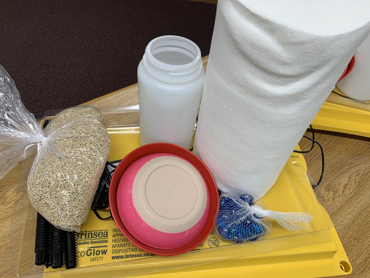 carolynvibbert's tweet photo. Today is “Lockdown” day in our #PWCSHatch! 14 sets of brooder box supplies were deployed today so that we are ready for Monday. We really can’t wait! #SudleyFamily #PWCSLibraries https://t.co/QYJdaCUXpc