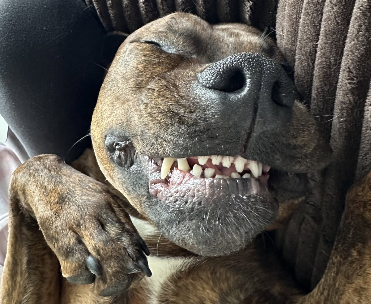 GM ☕️

i hope you have plenty of reasons to smile this friday 😁