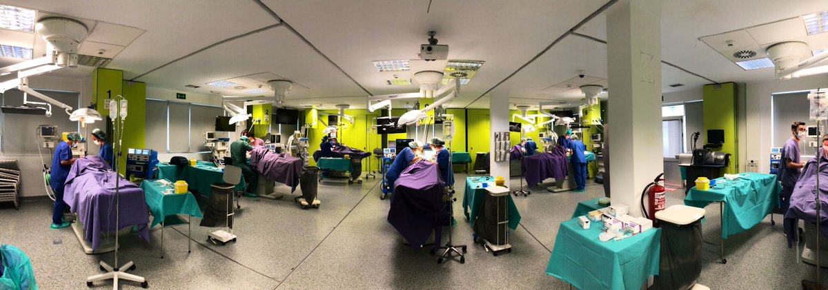 Finalizamos la segunda jornada del Curso de Cirugía Cervical en Quirófano Experimental. ¡Agradecemos a @ORLCHUAC por compartir su experiencia y conocimientos en esta experiencia de aprendizaje! #CirugíaCervical #CHUAC