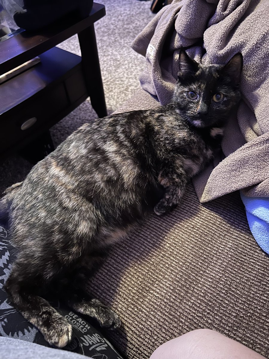 CindyBunn's tweet photo. I think her belly’s growing by the hour.  My sweet Emmy. https://t.co/5BA1pKmeJK