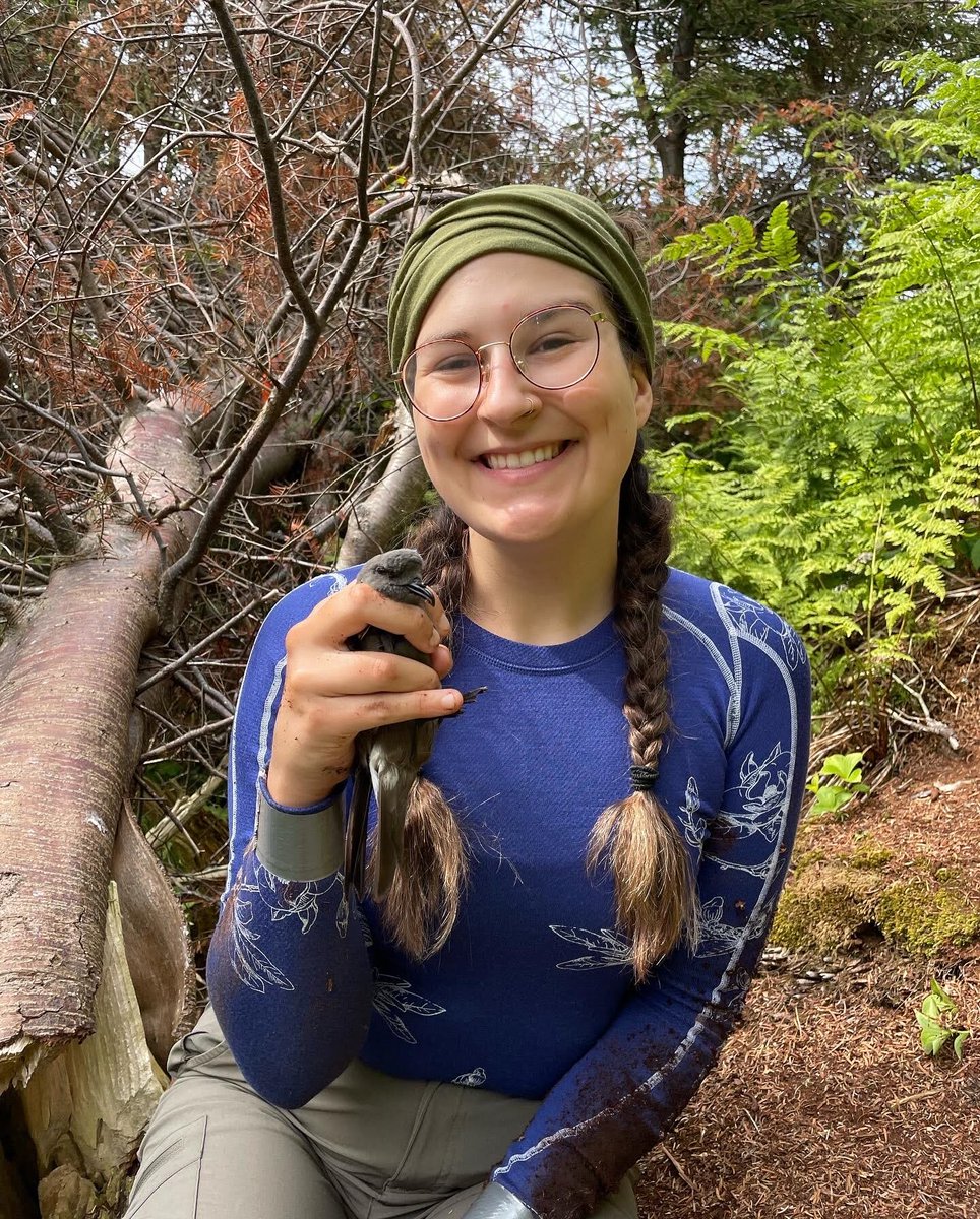 Power down for Petrels! <a href="/MemorialUSci/">Faculty of Science, Memorial University</a> Student Tori Burt presented her study <a href="/PacificSeabirds/">PacificSeabirdGroup</a>’ 2023 annual conference in San Diego, CA, finding that turning off lights significantly reduced the number of Leach’s Storm Petrel strandings at a mass stranding site in Bay de Verde, NL.