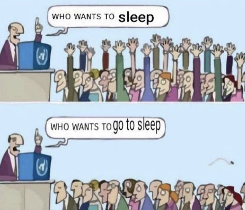 ✧ (@northstardoll) on Twitter photo 