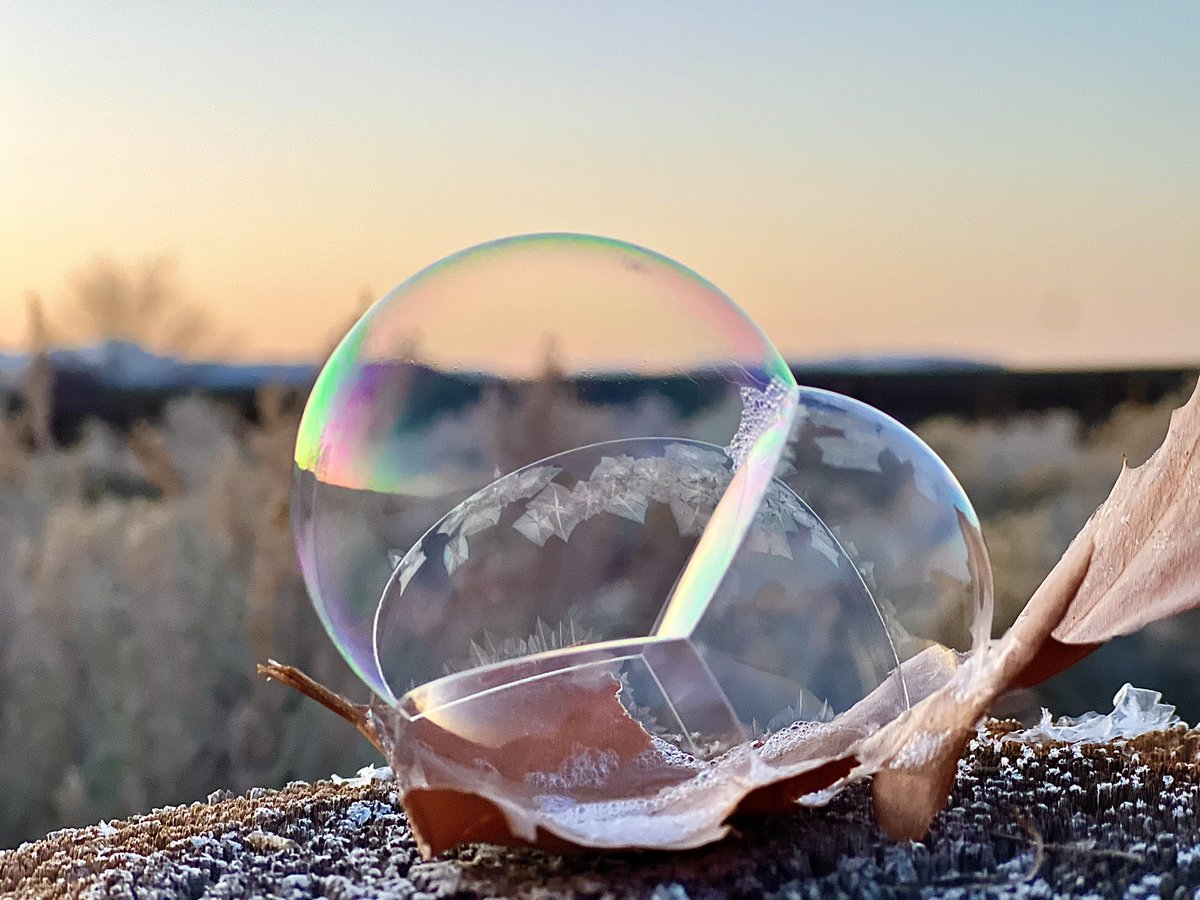 rikyd_smith's tweet photo. #frozenbubbles @WeatherNation @natwxdesk #winter2023 https://t.co/qZyZTIQYS2