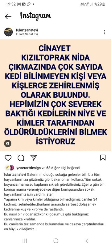 Merallicaa's tweet photo. #hayvanhakları #hayvancinayetleri #kadıköybelediyesi #haytap https://t.co/NZzTup59M7