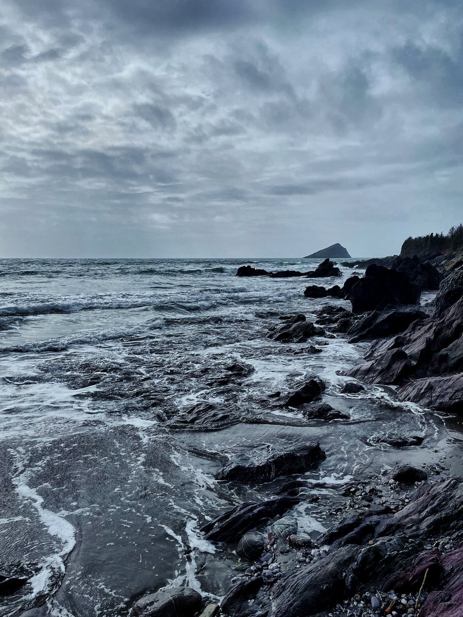 jenasaurusrex94's tweet photo. 🌊 💙 🐚 https://t.co/tooDkWbAWi