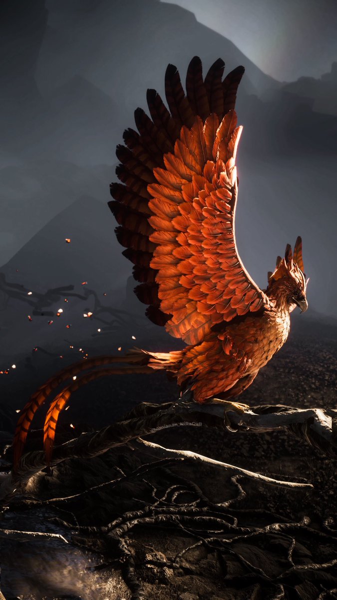 Allison 🇵🇭🎮📸 (@amianan_niragub) on Twitter photo The Phoenix.
#APlagueTaleRequiem #APlagueTale #PS5Share
<a href="/APlagueTale/">Resonance</a> <a href="/Focus_entmt/">Focus Entertainment</a> <a href="/AsoboStudio/">Asobo Studio ✈️🐀</a>
#VirtualPhotography #VGPUnite #GamerGram #WorldofVP #VPRT #VPEclipse #ThePhotoMode #ZarnGaming #ArtisticofSociety #TheCapturedCollective #VPCONTEXT #LandofVP The Phoenix.
#APlagueTaleRequiem #APlagueTale #PS5Share
<a href="/APlagueTale/">Resonance</a> <a href="/Focus_entmt/">Focus Entertainment</a> <a href="/AsoboStudio/">Asobo Studio ✈️🐀</a>
#VirtualPhotography #VGPUnite #GamerGram #WorldofVP #VPRT #VPEclipse #ThePhotoMode #ZarnGaming #ArtisticofSociety #TheCapturedCollective #VPCONTEXT #LandofVP