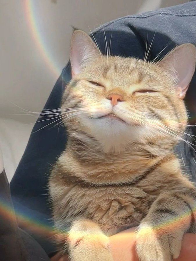 91tkitten's tweet photo. louis is so happy and i am so proud https://t.co/vcd00kF7eF