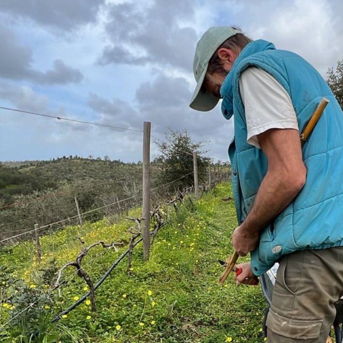 RocknRose_wine's tweet photo. Another day at the office.
Grafting day in the vineyard. ๐ฑ ๐
#craftsmanship #craftwine #blockchaincommunity #web3community #solarpunk #refi #regenerativeleadership #regenerativeagriculture #irl #NFT https://t.co/cm8hneypB9