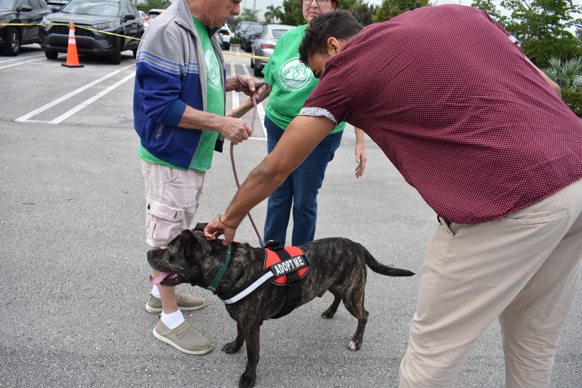 NBCUTelemundo's tweet image. This week we celebrated the #NBCUnites Non-Profit fair at Telemundo Center! ✨

Our employees learned about our local non-profit partners and how we can get involved to make an impact. 

Thank you to everyone who joined to make a difference in our communities. #ElPoderEnTi