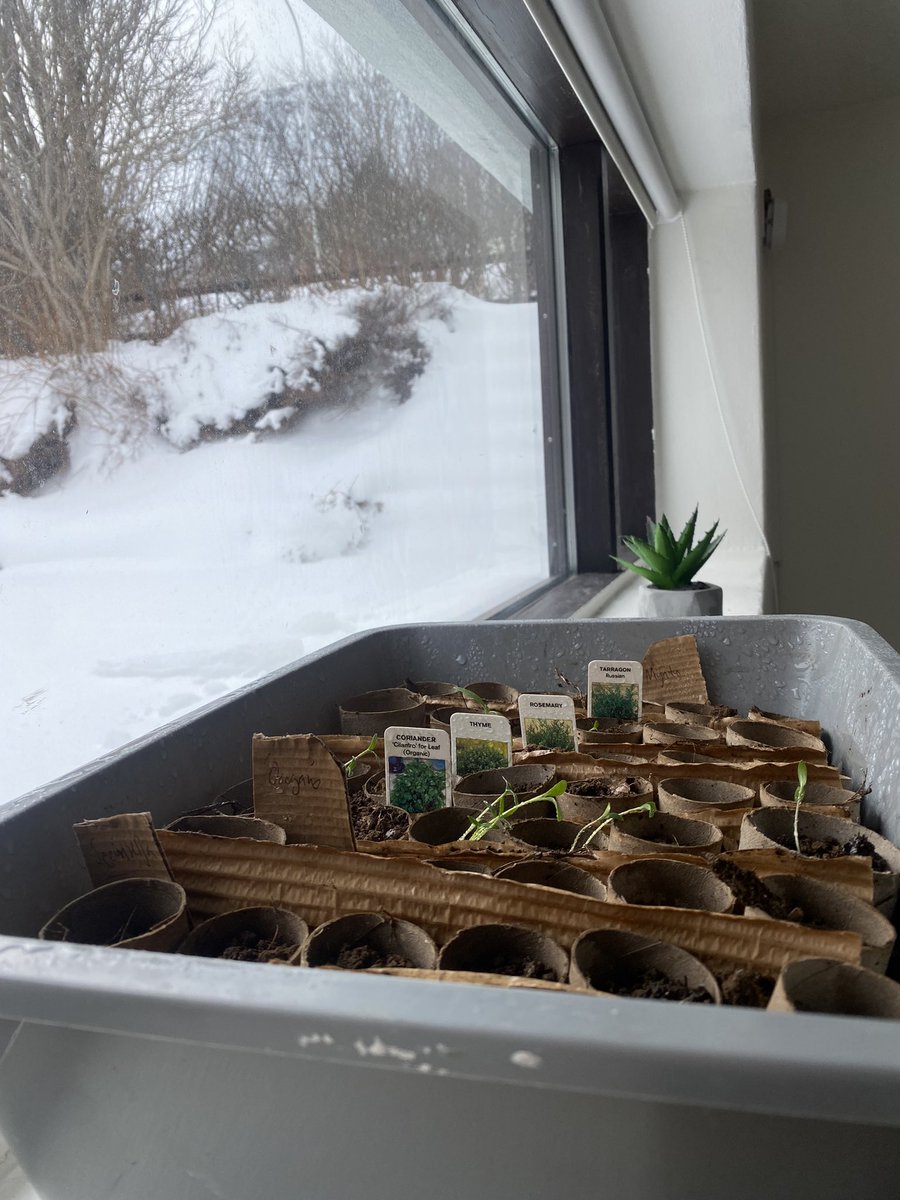 Egill Sigurðarson (@egillsig) on Twitter photo 