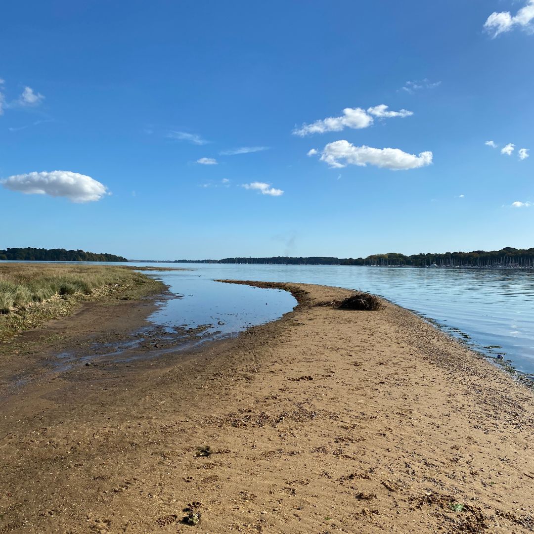 Did you know that the Orwell estuary is of international importance for wildlife? It provides homes to over 50,000 wading birds, fish and over-wintering geese. Spend some time this weekend spitting wildlife on the new @TWTGsuffolk <a href="/suffolkcc/">Suffolk CC</a> walk walks.gojauntly.com/walks/orwell-c…