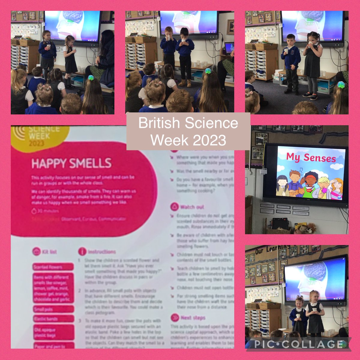 MrsHalsall02's tweet photo. What a wonderful and busy week in Hedgehog Class. Have a restful weekend and checkout the link on our newsletter with more connections to experiment at home #BRISTISHSCIENCEWEEK #WWPASCIENCE #WWPAREADING #WWPAWRITING https://t.co/4T8qQ9l8Qa