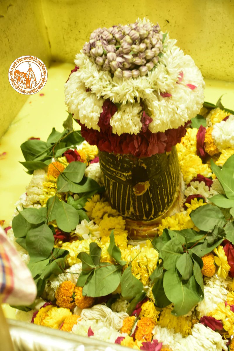 ShriVishwanath's tweet photo. आज दिनाँक 17-03-2023 को श्री काशी विश्वनाथ मंदिर के सप्तऋषि आरती के दर्शन।
#Blessings  #SandhyaAarti #SaptrishiAarti #Varanasi #Banaras #Aarti #Kashi #Jyotirlinga #VishwanathDham #Sambhu https://t.co/Gply67lNPe