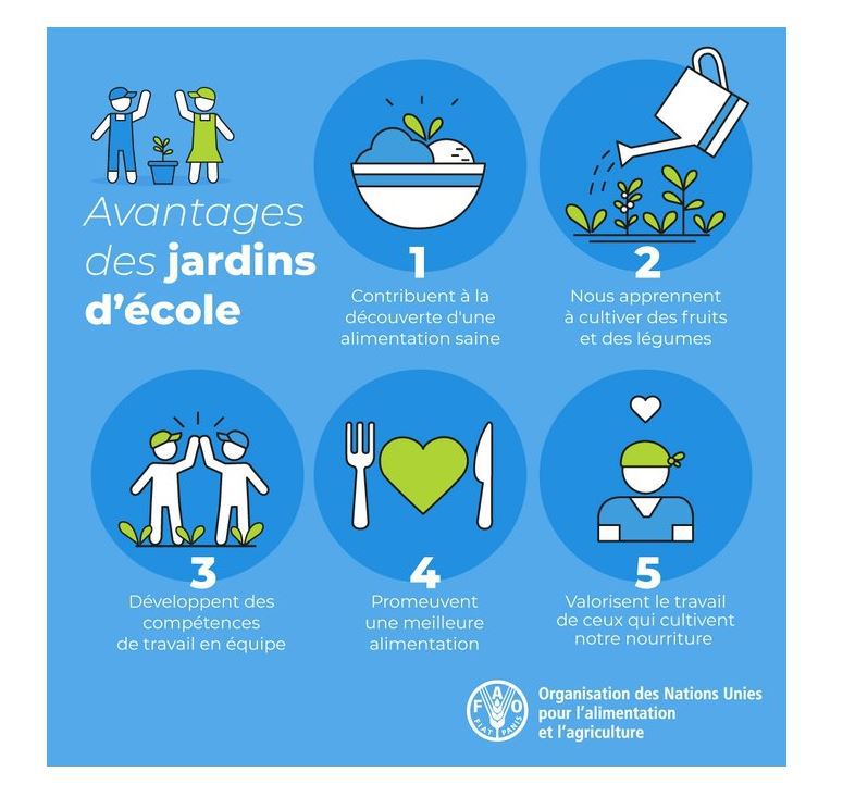 Les jardins scolaires: une source d'apprentissage pour les enfants. Ils aident à:
❤️Développer des compétences de la vie
🌱Stimuler l'éveil écologique
💪Cultiver le respect pour la nourriture
🍏Promouvoir une meilleure nutrition & une alimentation saine

#ISMD2023 @‌FAOenFrancais