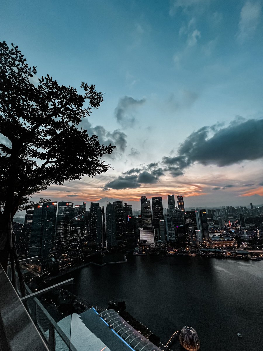 CryptoNagato's tweet photo. Today’s sunset from the Marina Bay Sands rooftop in Singapore.

The view literally blew my mind.

I’m feeling blessed.

I’m literally living the life I visualized years ago while starting out with Crypto.

Believe in yourself and don’t give up.
You can do it too! https://t.co/c4U4RI8hvl