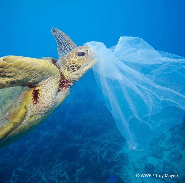 army_vig's tweet image. Hoy nos unimos a la iniciativa #MundoSinPlastico. Por el cuidado y conservación de los ecosistemas del planeta. 
Desde nuestro SG-SST trabajamos para que nuestro personal conozca cómo apoyar las estrategias de reciclaje en su lugares de trabajo. #seguridadyvigilancia