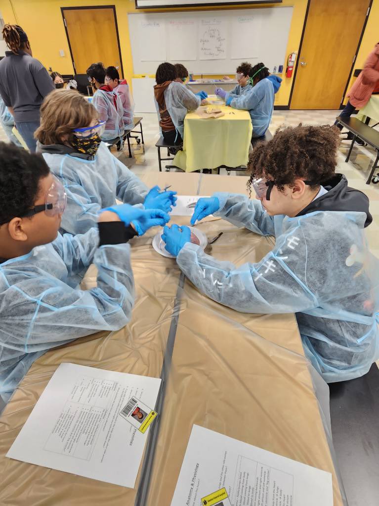 Corey Heacock, Ed.D. tweet media