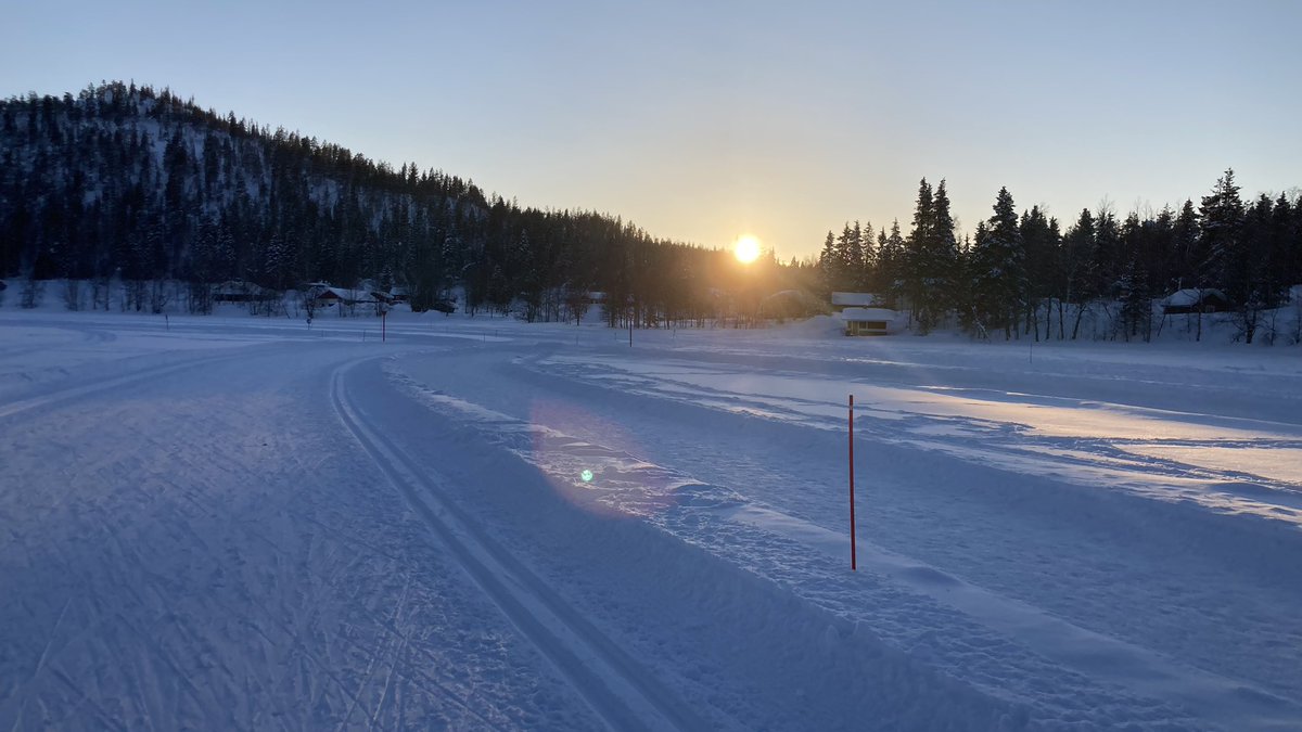 Marvin Schmitt 👉🦋 tweet media