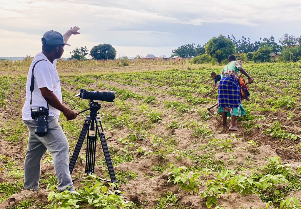 nsamila's tweet photo. π₯ Documenting lessons learned from GAIA Project in Geita RegionπΉπΏ
#CIMMYT #Agriculture #Tanzania #SAGCOTsoilhealthpartnership #acidsoils #liming #FilmMaking #SDG2 #SDG13 https://t.co/9CbYTkOAvy