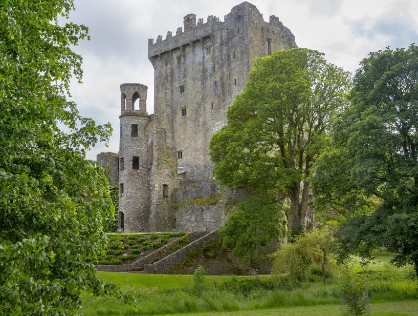 AliceTravelNJ's tweet photo. Happy St. Patty's Day! Ireland is the land of breathtaking landscapes, friendly people, and once-in-a-lifetime experiences. 
Contact us for AMAZING Promos going on now!
 #Ireland #Library #Sheep #visitireland #stpattysday #travellife #landtours #tours #irishtours #tourireland https://t.co/wrtUJ5qQ9a