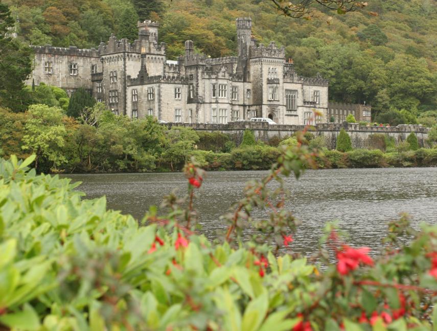 AliceTravelNJ's tweet photo. Happy St. Patty's Day! Ireland is the land of breathtaking landscapes, friendly people, and once-in-a-lifetime experiences. 
Contact us for AMAZING Promos going on now!
 #Ireland #Library #Sheep #visitireland #stpattysday #travellife #landtours #tours #irishtours #tourireland https://t.co/wrtUJ5qQ9a