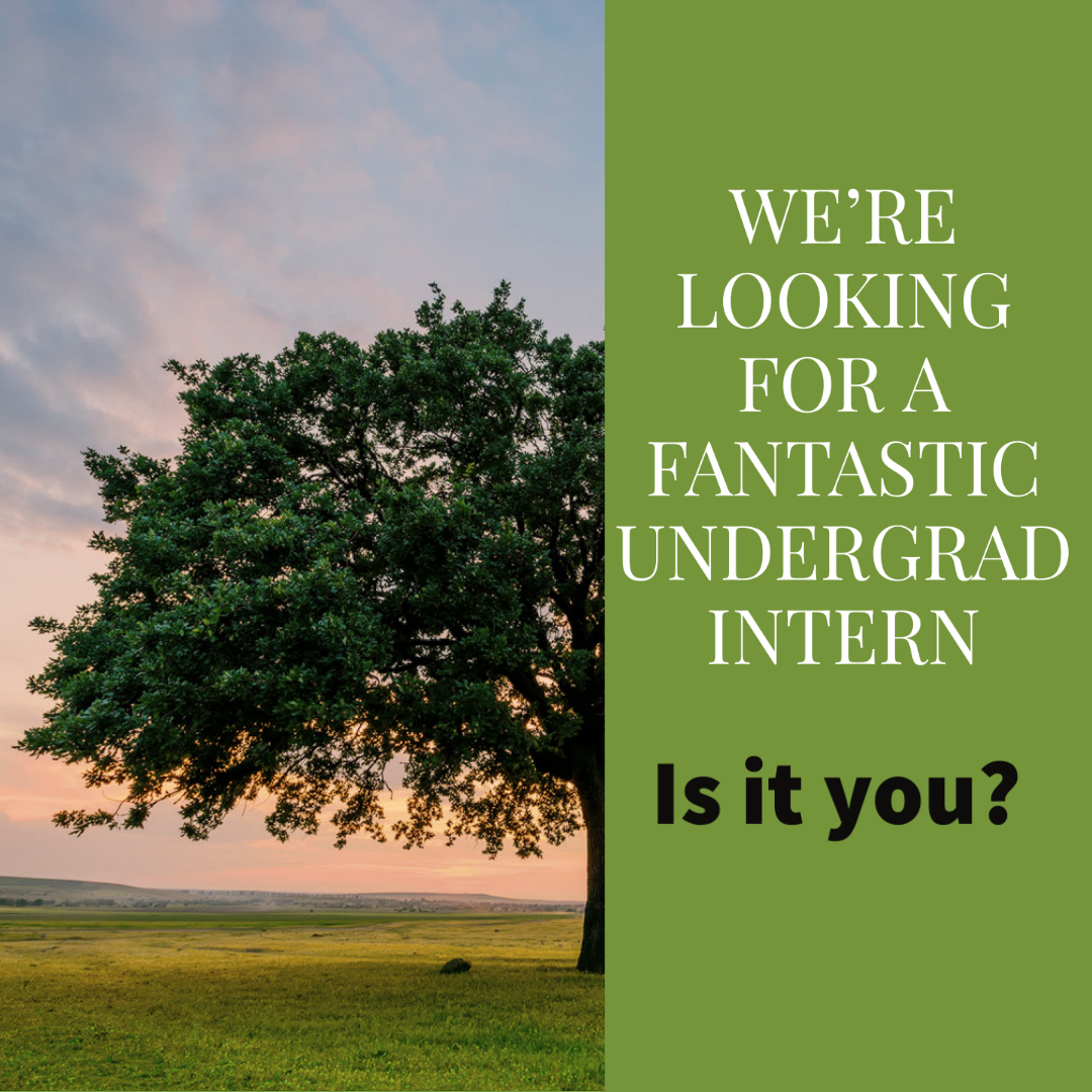 chiwilderness's tweet photo. You know what would make our work this summer even better? A fantastic and enthusiastic Community Engaged intern, paid of course! 

Thanks to our amazing partners @ILINSeaGrant and @LifeAtPurdue we welcome all qualified undergrads to apply by March 31 at https://t.co/aStHzuoePP https://t.co/Ot2qSO5w9e