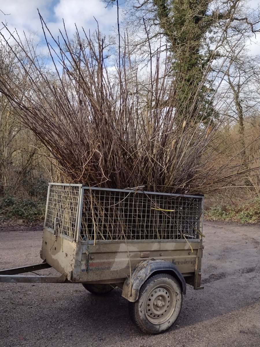 scotneycastleNT's tweet photo. It's Friday so it must be giant nest-building day at Scotney ... #GettingReadyForEaster #LoveOurJob #Easter2023 @southeastNT https://t.co/8w6s11PSKN
