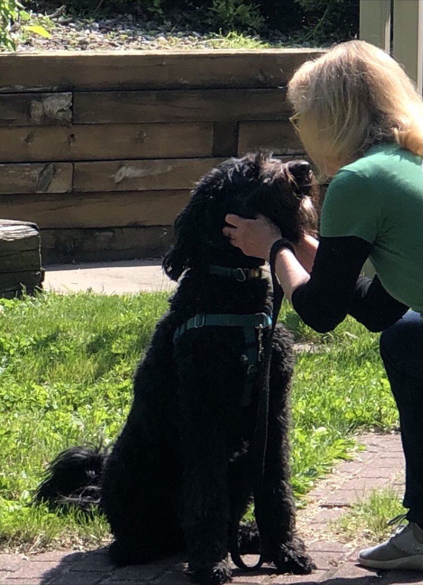 TrendyTrainer13's tweet photo. @MyPeakChallenge @SamHeughan HAPPY #SaintPatricksDay to all #Peakers and to our wonderful #MPCTeam & #Coaches! I do feel as though we have the “Luck of ALL our Peaker Nationalities” throughout every day with every one of you! Our Beautiful Diversity brings wonderful Cultures together in Challenge!☝️ https://t.co/r1IBcE2FCq