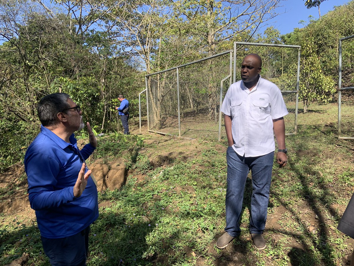 agua_tica's tweet image. El día de hoy en conjunto con #CNFL Asociación ARGUA y el programa de educación ecológica de #FUNDECOR visitamos un parque situado en el Alto de Guadalupe con el fin de organizar una serie de actividades de voluntarios para aportar al cuido del Río Torres que está en el AOI de AT