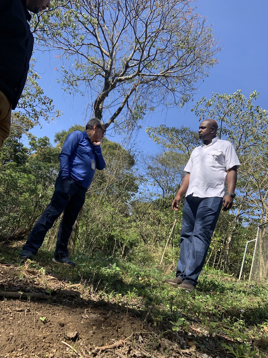 agua_tica's tweet image. El día de hoy en conjunto con #CNFL Asociación ARGUA y el programa de educación ecológica de #FUNDECOR visitamos un parque situado en el Alto de Guadalupe con el fin de organizar una serie de actividades de voluntarios para aportar al cuido del Río Torres que está en el AOI de AT