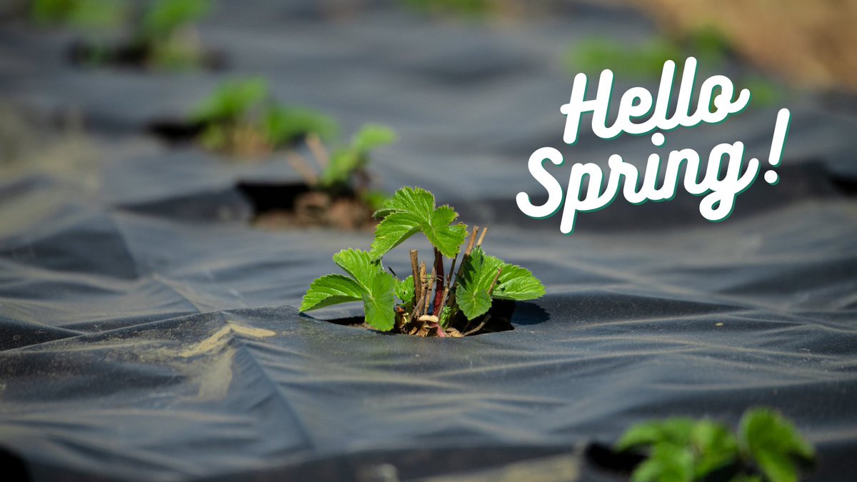 Farmers.gov on Twitter: 