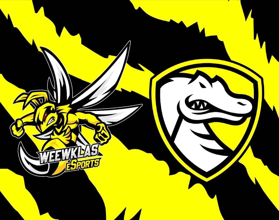Weewklas eSports | Clubes Pro tweet media