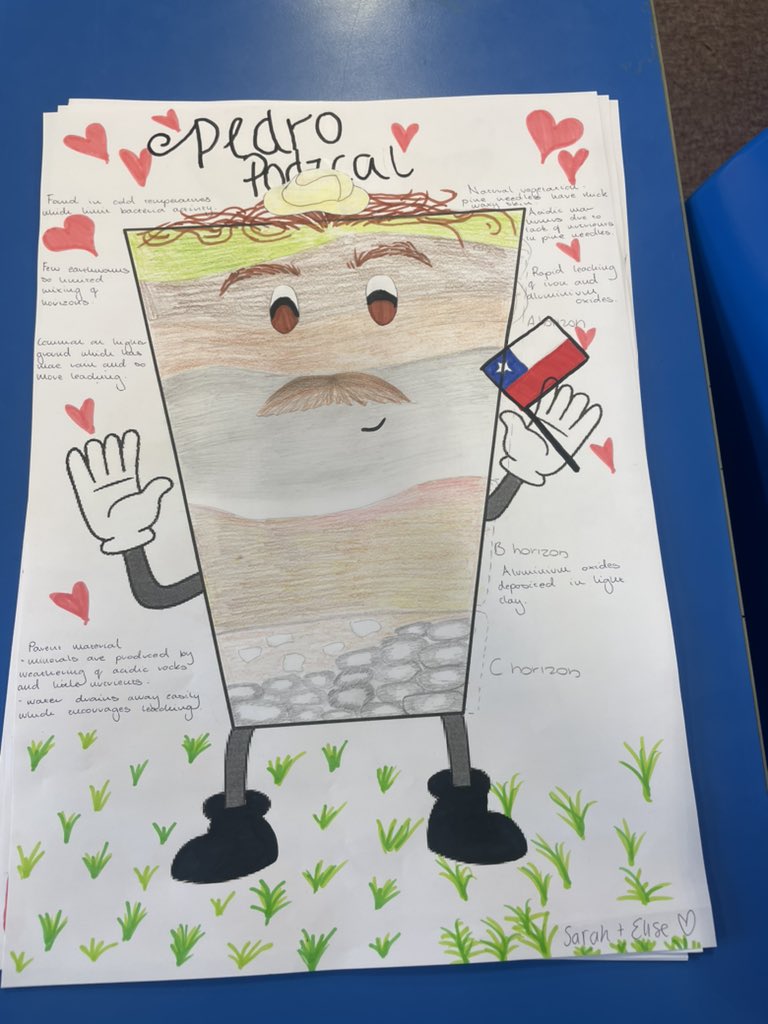 MissCostello2's tweet photo. Higher Geographers turning soil profiles into celebrities. Who is your favourite? https://t.co/eSBsDgaD4Z