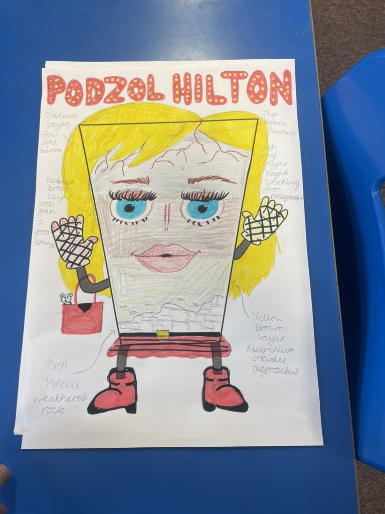 MissCostello2's tweet photo. Higher Geographers turning soil profiles into celebrities. Who is your favourite? https://t.co/eSBsDgaD4Z