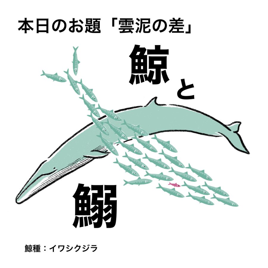 最終値下げ！　壁掛け　クジラの尾びれ　オブジェ　鯨　レストラン 壁掛け クジラの尾びれ オブジェ 鯨 レストラン 飲食店 ショップ