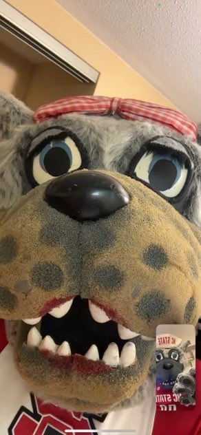ncsucheer's tweet photo. Rise & Shine! ๐คณ Itโs Game Day!
Denver, CO โ๏ธ Salt Lake City, UT๐ #PackMadness https://t.co/P1GYnBfKhd
