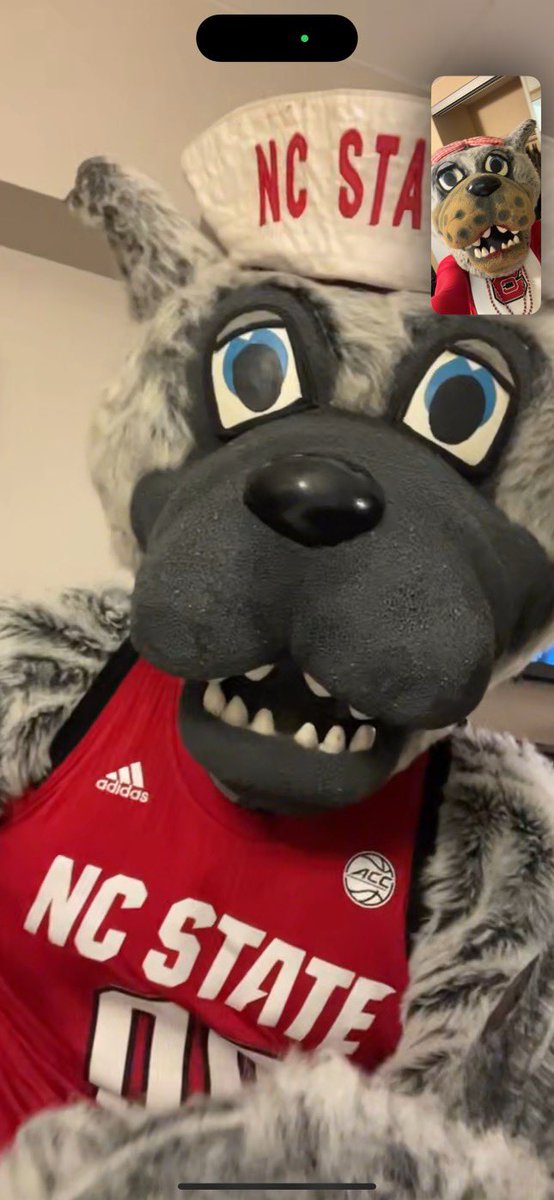 ncsucheer's tweet photo. Rise & Shine! ๐คณ Itโs Game Day!
Denver, CO โ๏ธ Salt Lake City, UT๐ #PackMadness https://t.co/P1GYnBfKhd
