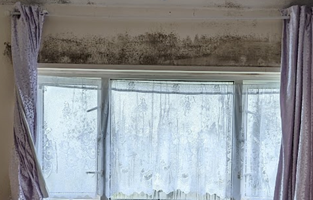 BHenergyservice's tweet photo. Mould & damp issues are a common problem for people in #Brighton.
Here are a few tips on what you can do about it...
https://t.co/wsyUCXO8RG
#EnergyCrisis #FuelPoverty #Housing #ColdHomes #DecentHomes #Damp https://t.co/Ut7S46d1V3