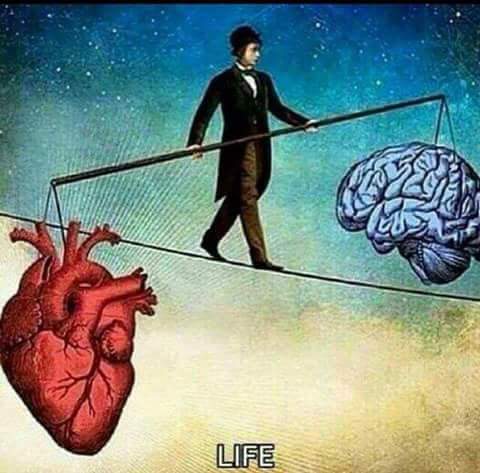 Think with your Brain 🧠
Listen to your Heart ❤
#Brain
#Heart