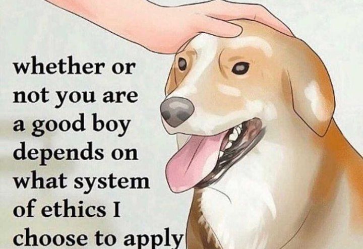 SpirallingBot's tweet photo. this and manifesting✨ https://t.co/6MPsxRMYyQ