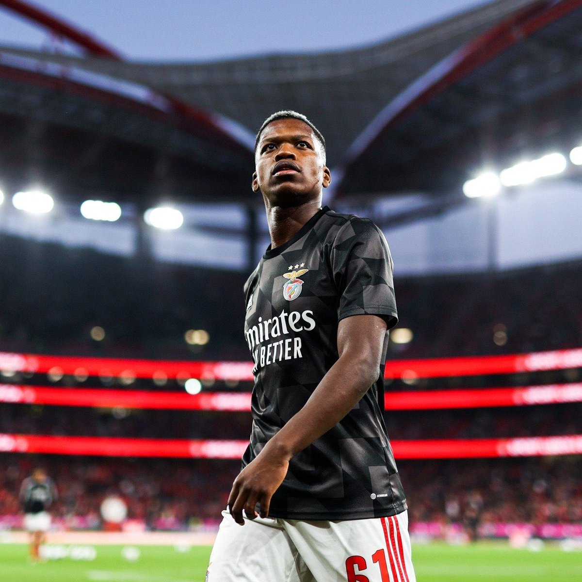 Não consigo compreender. 

Não há explicação possível para Florentino não estar na convocatória da seleção nacional.