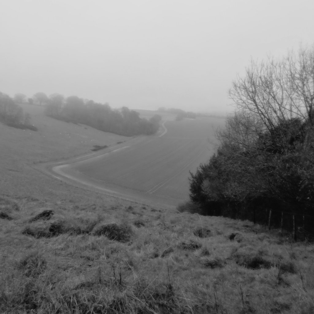 E13whu's tweet image. A foggy morning social jogging session followed by a coffee brew Guinness recovery drink. Boom🇮🇪🍀 #TWCStpatricks #TWC #twittawinterchallenge