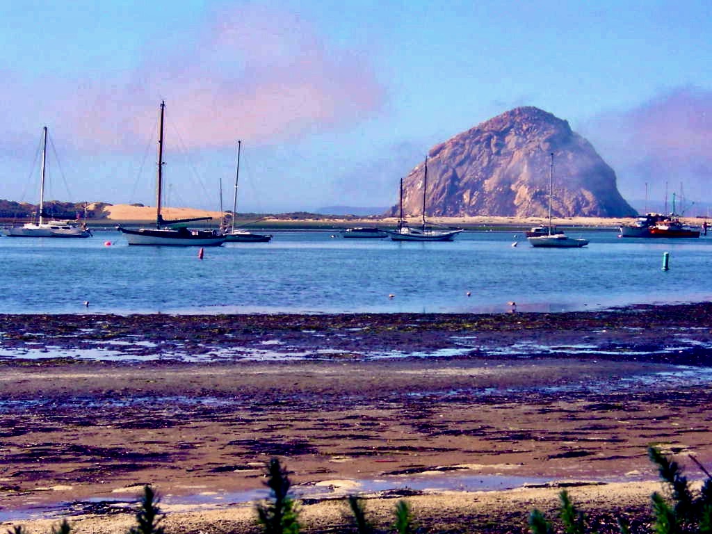 Early Morning Fog

#MorroBay #centralcoast #travelphotography #California #adventure #NaturePhotography #NatureBeauty #ocean #coast