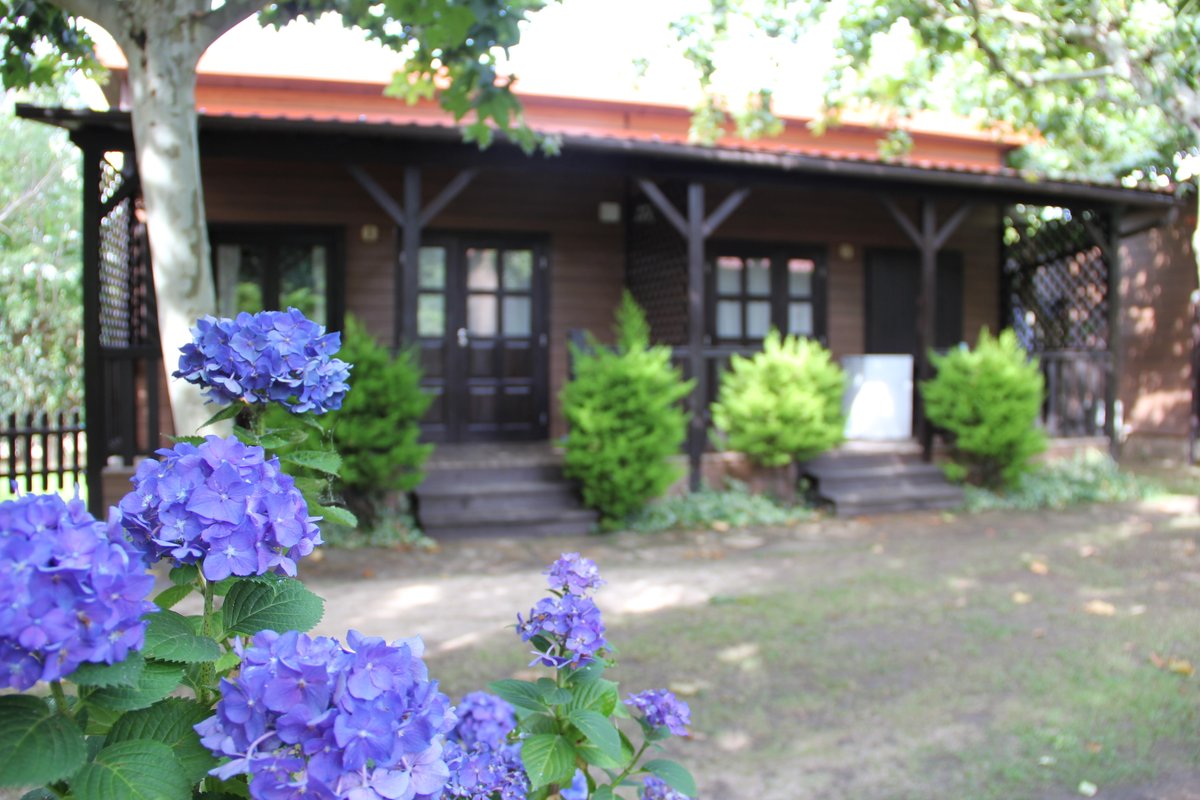 valledeltietar's tweet photo. Complejo Turístico La Mata
Camping Bungalows Restaurante Madrigal de la Vera Gredos
https://t.co/GPcBspsPf6
Bungalós, cabañas, piscina natural, comarca de La Vera
#camping #bungalow #restaurante #madrigaldelavera #complejolamata #comarcadelavera #lavera #gredos #guiatietar https://t.co/uvXopNMorg
