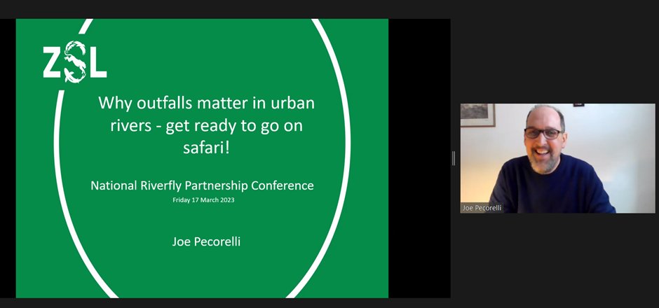 ZSLMarine's tweet photo. We are excited to be attending & speaking at the 5th National #Riverfly Partnership Conference - focusing on enhancing the power of #citizenscience to safeguard #rivers💪🌊 Today we are talking all things #OutfallSafari! Find out more & volunteer here: https://t.co/tMhSVkqOzM https://t.co/GqTbCqzghQ
