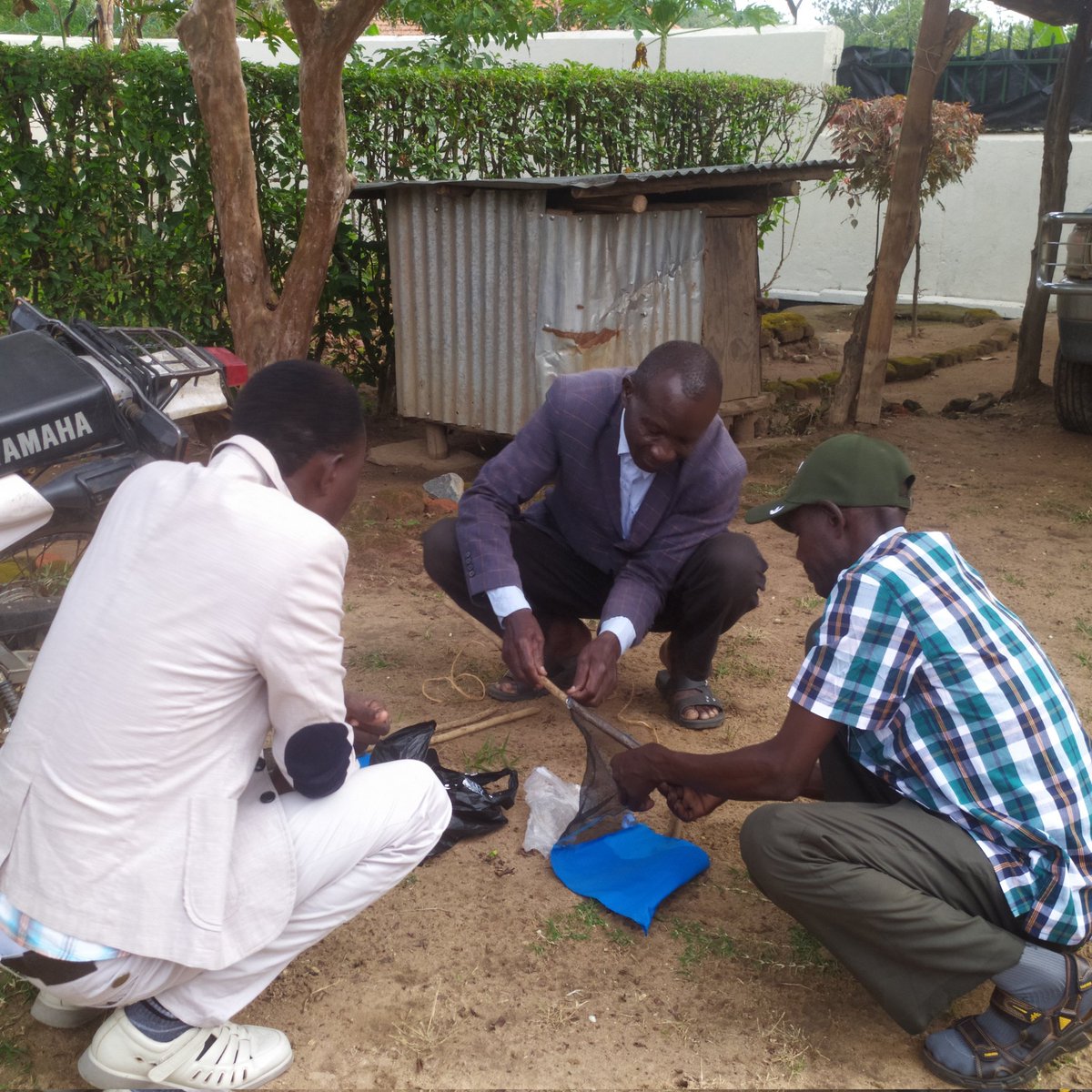 tsetse_org's tweet photo. A bit of #transboundary #collaboration today as #Uganda District Entomologist Cema demonstrated how to assemble a #TinyTarget for #tsetse #control to our new colleagues from #SouthSudan.
#vector #NTDs https://t.co/bFqReD2geH