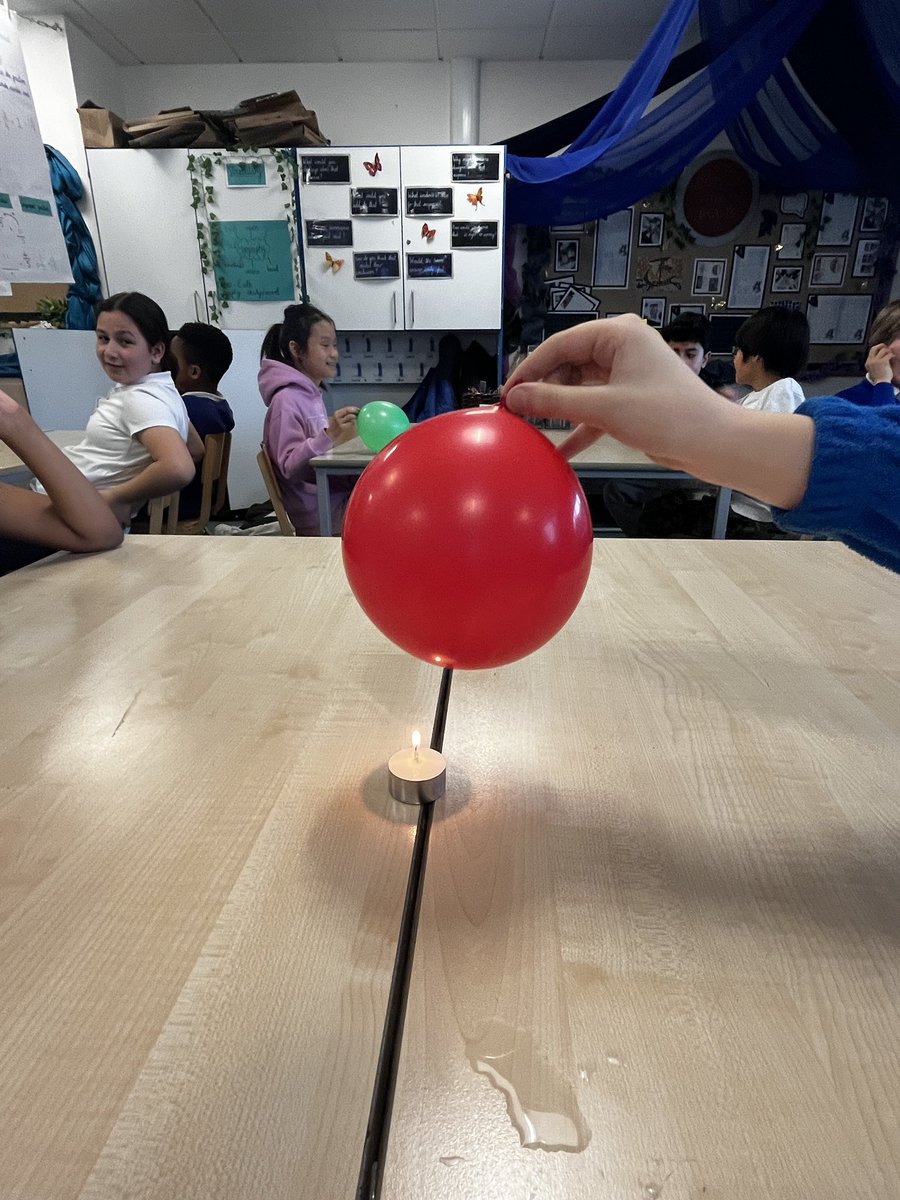 Foxfield Palm tweet media