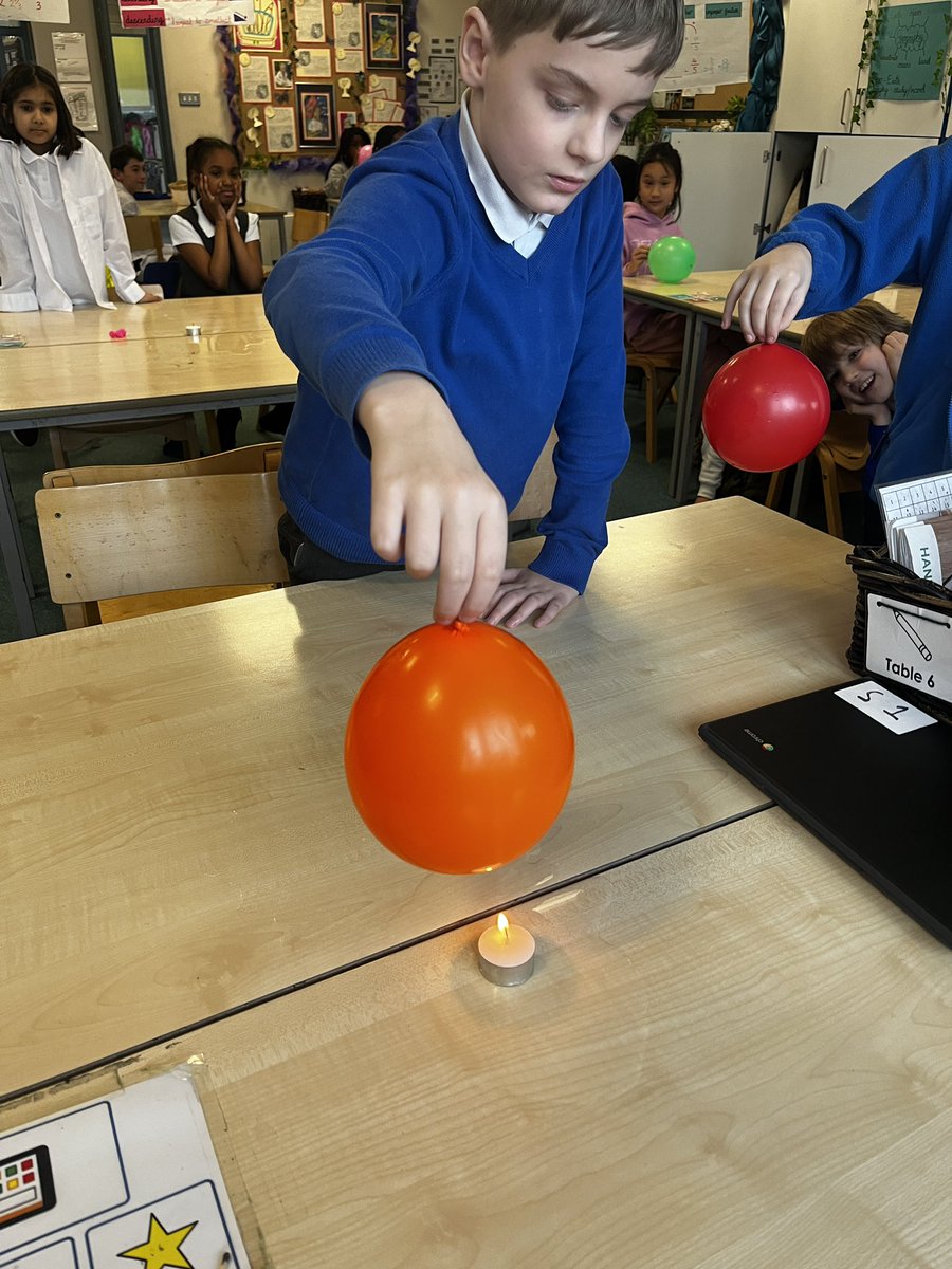 Foxfield Palm tweet media