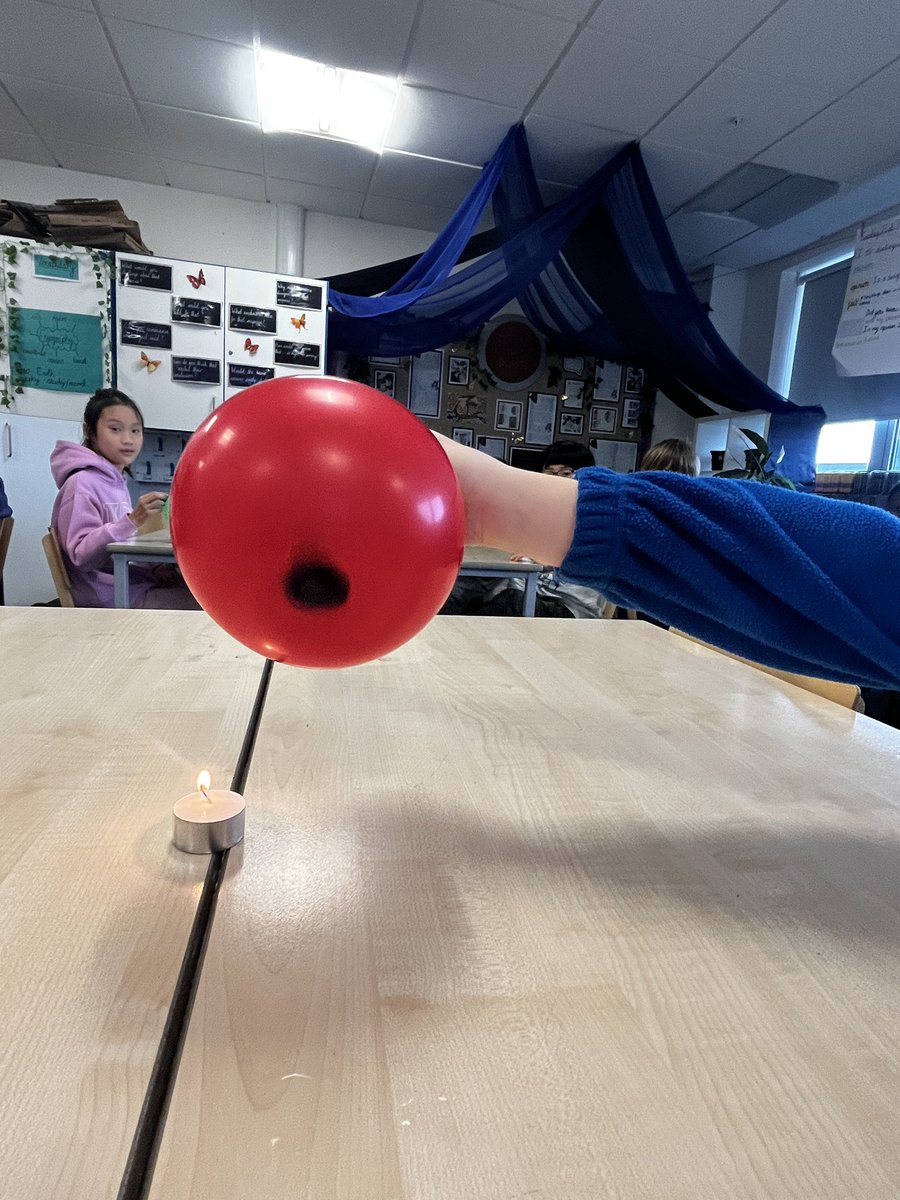 Foxfield Palm tweet media