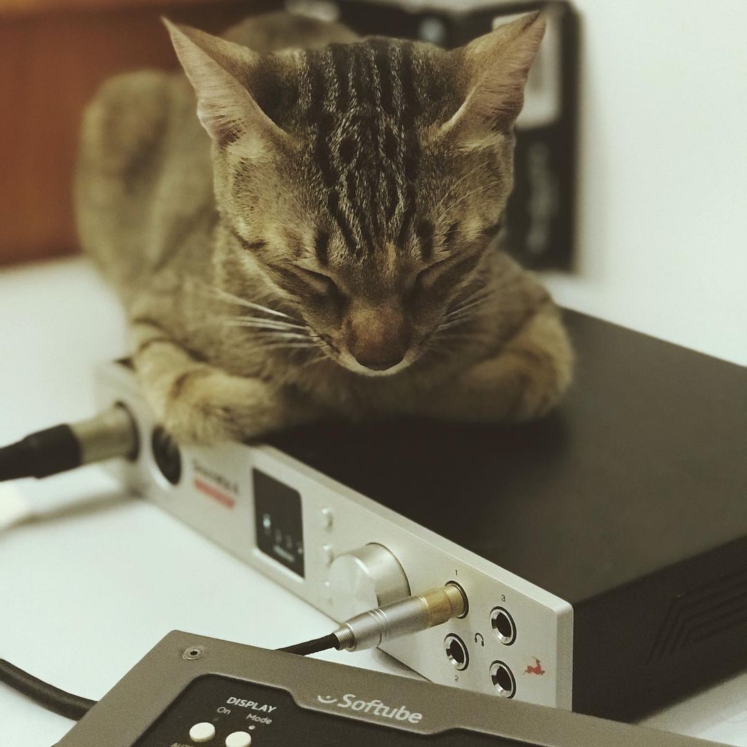 AntelopeAudio's tweet photo. Rubén Zafra’s secret plugin for achieving warmth in his mixes 🐱
📷: https://t.co/BdB3Aj2v6g
#antelopeaudio #audiointerface #discrete4synergycore #proaudio #recording #studio #cats #audioproduction #audio #mastering #studiosetup #musician #mixing #audiophile #audiogear #music https://t.co/m8LJ1xSA9r
